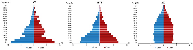 Nüfus piramidi, 1935, 1975, 2021